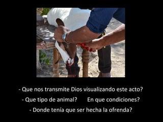 - Que nos transmite Dios visualizando este acto?
- Que tipo de animal?

En que condiciones?

- Donde tenía que ser hecha la ofrenda?

 