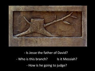 - Is Jesse the father of David?
- Who is this branch? Is it Messiah?
- How is he going to judge?
 