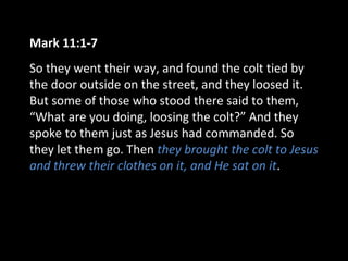 Mark 11:1-7
So they went their way, and found the colt tied by
the door outside on the street, and they loosed it.
But some of those who stood there said to them,
“What are you doing, loosing the colt?” And they
spoke to them just as Jesus had commanded. So
they let them go. Then they brought the colt to Jesus
and threw their clothes on it, and He sat on it.
 