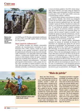 Capa
42 DBO fevereiro 2018
com 560 kg aos 28-30 meses, apresentando rendimento
de 54% a 55%, com GMC (ganho médio em carcaça)
de 720 g/cab/dia.
Qual o papel do confinamento?
Os animais recriados nos módulos rotacionados
adubados são majoritariamente terminados em con-
finamento (70% a 80%). Apenas o fundo fica a pasto
para abate no ano seguinte, recebendo o mesmo tipo
de suplementação fornecida aos das áreas não intensifi-
cadas. Atualmente, com capacidade estática para 4.400
cabeças, o confinamento também ajuda a dar suporte,
na seca, às altas lotações obtidas nas águas. A fazenda
poderia ter escolhido outras alternativas – arrendamen-
to de pastos, irrigação, semiconfinamento –, mas optou
pela engorda exclusivamente a cocho, porque ela con-
fere maior velocidade ao sistema produtivo como um
todo, além de poupar terras. Como todas as tecnologias
adotadas na fazenda, o confinamento começou pequeno
e cresceu de forma gradativa. Em 2014, foram arraço-
ados apenas 790 bois, com ração à base de silagem de
milho e capim, mais concentrado. Em 2016, esse núme-
ro pulou para 3.333; em 2017, para 4.400 e, neste ano,
a fazenda planeja confinar 7.500 bois.
A maioria desses animais é proveniente do rotacio-
nado intensivo adubado. Eles entram nas instalações
no início da seca (junho/ julho), pesando 360 a 420 kg.
Para que já comecem ganhando peso, são “pré-condi-
cionados” a pasto por 60 dias. Recebem em cochos mó-
veis de 3 a 5 g de proteico-energético por quilo de peso
vivo. “É uma forma de subsidiar o ganho compensa-
tório que teríamos nas primeiras semanas, que tecni-
camente não nos interessa, pois representa ganho em
vísceras e não em carcaça”, explica o consultor. A pro-
priedade faz apenas um giro de confinamento, com du-
ração média de 110 dias. Os bois ganham de 1 a 1,1 kg
de carcaça/cab/dia, totalizando 7,2@/cab no período.
São abatidos com 20-24 meses, pesando 19@.
Esse sistema de engorda ganhou participação
crescente no sistema de produção da fazenda. Em
2014/2015, ele respondeu por apenas 8% das 6,61@
produzidas na propriedade. Sua participação no lucro
líquido foi de R$ 42,5/ha, 16,45% do total registrado
(R$ 258,52/ha). Já no ciclo 2016/2017, o confinamen-
to garantiu 23% da produção (4,3 das 18,7 @ha) e 42%
do lucro. Trata-se de uma participação expressiva, mas
é bom olhar para o retrovisor. Em 2016, ano de má me-
mória para os confinadores, pois o preço do milho es-
tourou e a arroba não ultrapassou os R$ 129, o confi-
namento deu prejuízo de R$ 54,33/ha. Nem por isso, a
fazenda abandonou essa estratégia de engorda. “Não se
pode abrir mão de uma tecnologia por causa de um ci-
clo ruim. O confinamento é uma ferramenta gerencial
para aumento da produtividade e rentabilidade do siste-
ma intensivo, por isso persistimos”, diz Mesquita. 	 n
“Mula de patrão”
Musa, Jóia, Clara, Famosa...
O ritmo cadenciado da marcha
macia, confirmada pelo conforto do
cavaleiro, encanta o criador que,
debruçado sobre o cercado de ma-
deira, observa seus animais “desfi-
larem” na pista de areia. “As mulas
são a paixão do meu pai”, entrega
a filha Bruna Paulinelli. Não é difícil
constatar isso. O gosto pela criação
de muares, herança afetiva deixada
pelo pai João Paulinelli, está expres-
so nas palavras e, acima de tudo, no
olhar carinhoso que Roberto dedica
a suas mulas marchadeiras. Com
um plantel-base de 130 éguas, entre
mangalarga marchador e mangalar-
ga paulista, 20 jumentas e 200 mu-
las, o criador faz uma seleção crite-
riosa, tanto do sêmen dos jumentos
quanto dos animais híbridos nasci-
dos. “Sempre busquei produzir uma
tropa marchadeira e de boa índole,
que eu chamo de ‘mula de patrão’”.
Roberto explica os atributos que o
animal deve possuir para merecer
tal alcunha. “Tem de ter andamento
macio, ser manso e de confiança.
Sabe como é: nem sempre o patrão
é bom cavaleiro, então precisa de
um animal confortável, que não re-
fuga, nem dá coice”.
Roberto Paulinelli: paixão pelas
mulas desde criança.
Maioria dos
animais do
confinamento
vem do
rotacionado
RenatoVillela
Foto:IdelsonGomes
 