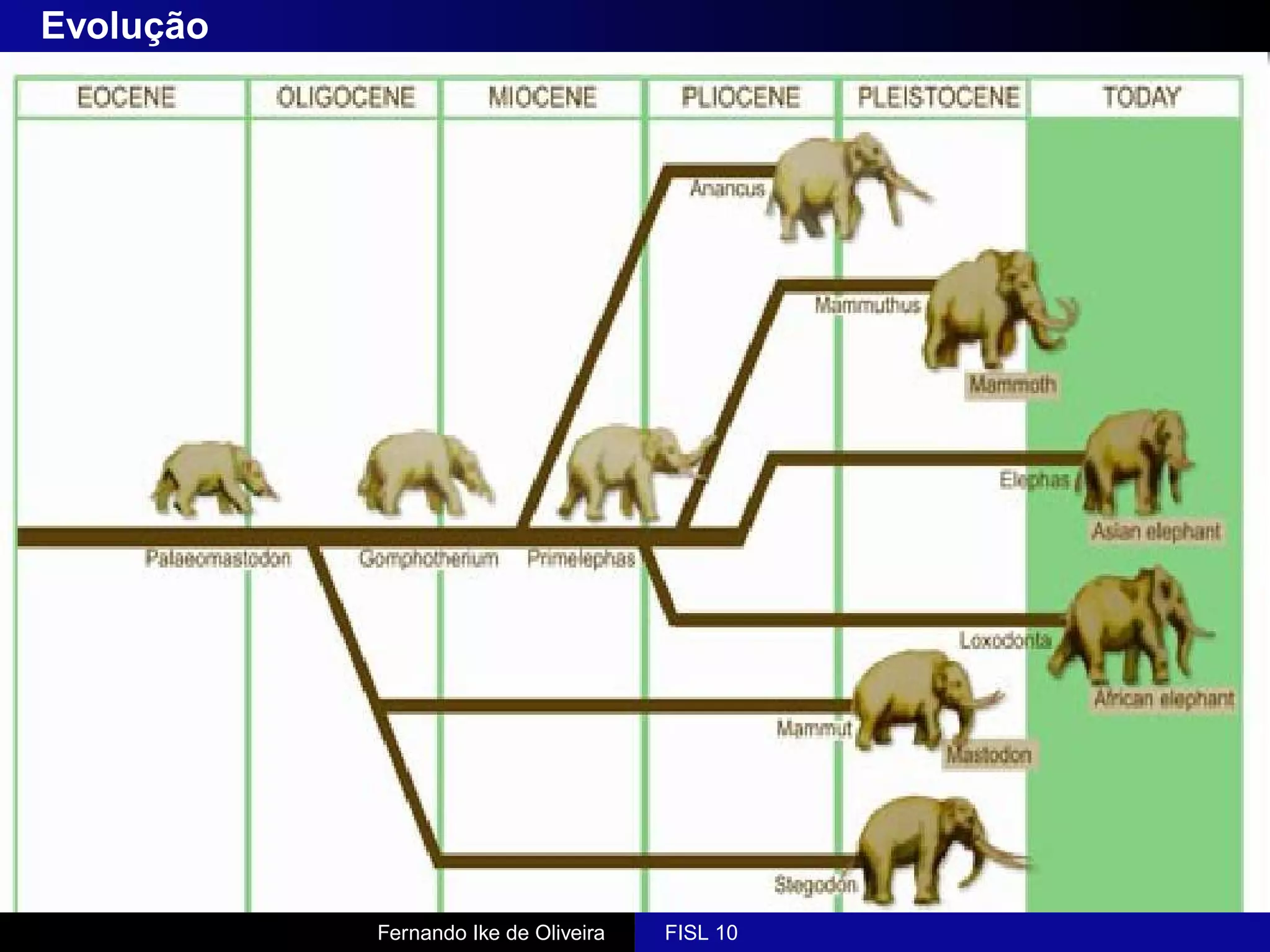 Evolução




           Fernando Ike de Oliveira   FISL 10
 