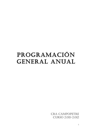 Programación General Anual 2011