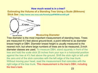 Using Real Life Contexts in Mathematics Teaching | PPT