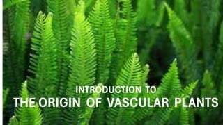 INTRODUCTION TO
THE ORIGIN OF VASCULAR PLANTS
 