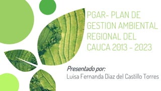 PGAR- PLAN DE
GESTION AMBIENTAL
REGIONAL DEL
CAUCA 2013 - 2023
Presentado por:
Luisa Fernanda Diaz del Castillo Torres
 