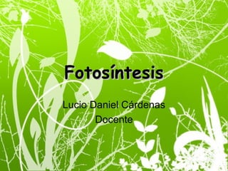 FotosíntesisFotosíntesis
Lucio Daniel Cárdenas
Docente
 