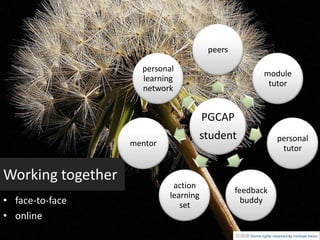 peers

                     personal
                                                      module
                     learning
                                                       tutor
                     network


                                       PGCAP
                                   student                personal
                   mentor
                                                           tutor


Working together
                             action
                                               feedback
                            learning
• face-to-face                 set
                                                 buddy
• online
 