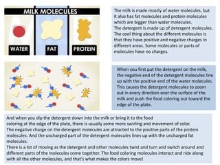 When you first put the detergent on the milk,
the negative end of the detergent molecules line
up with the positive end of the water molecules.
This causes the detergent molecules to zoom
out in every direction over the surface of the
milk and push the food coloring out toward the
edge of the plate.
The milk is made mostly of water molecules, but
it also has fat molecules and protein molecules
which are bigger than water molecules.
The detergent is made up of detergent molecules.
The cool thing about the different molecules is
that they have positive and negative charges in
different areas. Some molecules or parts of
molecules have no charges.
And when you dip the detergent down into the milk or bring it to the food
coloring at the edge of the plate, there is usually some more swirling and movement of color.
The negative charge on the detergent molecules are attracted to the positive parts of the protein
molecules. And the uncharged part of the detergent molecules lines up with the uncharged fat
molecules.
There is a lot of moving as the detergent and other molecules twist and turn and switch around and
different parts of the molecules come together. The food coloring molecules interact and ride along
with all the other molecules, and that’s what makes the colors move!
 