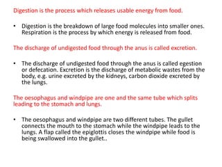 Digestion is the process which releases usable energy from food.
• Digestion is the breakdown of large food molecules into smaller ones.
Respiration is the process by which energy is released from food.
The discharge of undigested food through the anus is called excretion.
• The discharge of undigested food through the anus is called egestion
or defecation. Excretion is the discharge of metabolic wastes from the
body, e.g. urine excreted by the kidneys, carbon dioxide excreted by
the lungs.
The oesophagus and windpipe are one and the same tube which splits
leading to the stomach and lungs.
• The oesophagus and windpipe are two different tubes. The gullet
connects the mouth to the stomach while the windpipe leads to the
lungs. A flap called the epiglottis closes the windpipe while food is
being swallowed into the gullet..
 