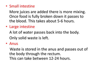 • Small intestine
More juices are added there is more mixing.
Once food is fully broken down it passes to
the blood. This takes about 5-6 hours.
• Large intestine
A lot of water passes back into the body.
Only solid waste is left.
• Anus
Waste is stored in the anus and passes out of
the body through the rectum.
This can take between 12-24 hours.
 