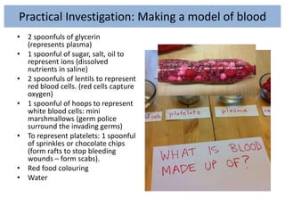 Practical Investigation: Making a model of blood
• 2 spoonfuls of glycerin
(represents plasma)
• 1 spoonful of sugar, salt, oil to
represent ions (dissolved
nutrients in saline)
• 2 spoonfuls of lentils to represent
red blood cells. (red cells capture
oxygen)
• 1 spoonful of hoops to represent
white blood cells: mini
marshmallows (germ police
surround the invading germs)
• To represent platelets: 1 spoonful
of sprinkles or chocolate chips
(form rafts to stop bleeding
wounds – form scabs).
• Red food colouring
• Water
 