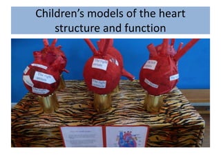 Children’s models of the heart
structure and function
 