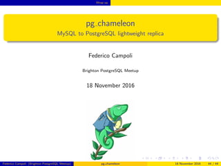 Wrap up
pg chameleon
MySQL to PostgreSQL lightweight replica
Federico Campoli
Brighton PostgreSQL Meetup
18 November 2016
Federico Campoli (Brighton PostgreSQL Meetup) pg chameleon 18 November 2016 44 / 44
 