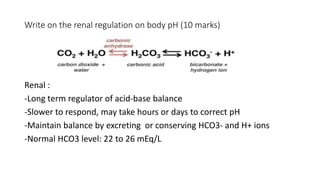 Write on the renal regulation on body pH (10 marks)
Renal :
-Long term regulator of acid-base balance
-Slower to respond, may take hours or days to correct pH
-Maintain balance by excreting or conserving HCO3- and H+ ions
-Normal HCO3 level: 22 to 26 mEq/L
 