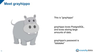 Meet grayhippo
15
This is "grayhippo"
grayhippo loves PostgreSQL,
and loves storing large
amounts of data.
grayhippo's pas...