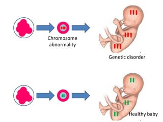 Chromosome 
abnormality 
Genetic disorder 
Healthy baby 
 