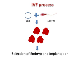 Egg Sperm 
Selection of Embryo and Implantation 
 
