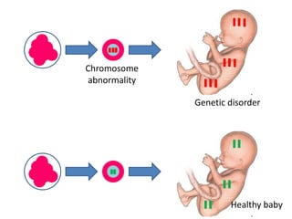 Chromosome 
abnormality 
Genetic disorder 
Healthy baby 
 