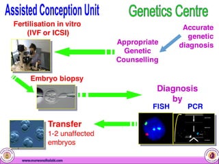 Pgd Process Pre-implantation Genetic Diagnosis ( PGD ) | PDF