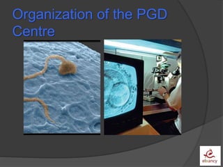 Organization of the PGD
Centre
 