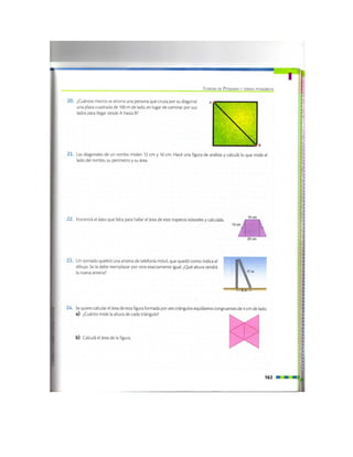 Páginas del libro II Santillana