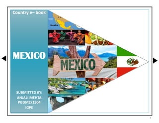 1
Country e– book
MEXICO
SUBMITTED BY:
ANJALI MEHTA
PGDM2/1504
IGPE
 