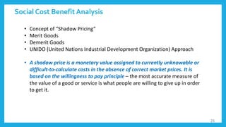 Shadow Cost Project Finance | PDF