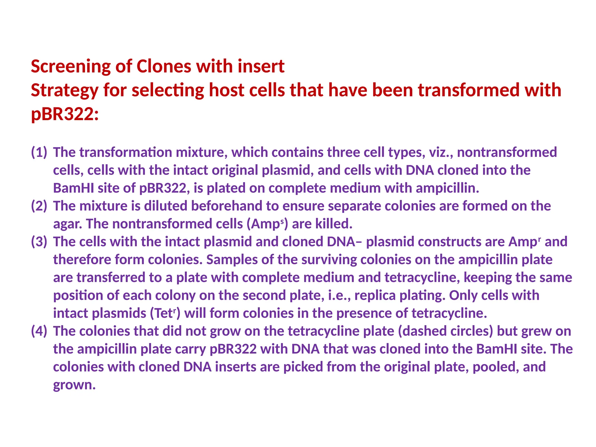 Screening of Clones with insert
Strategy for selecting host cells that have been transformed with
pBR322:
(1) The transformation mixture, which contains three cell types, viz., nontransformed
cells, cells with the intact original plasmid, and cells with DNA cloned into the
BamHI site of pBR322, is plated on complete medium with ampicillin.
(2) The mixture is diluted beforehand to ensure separate colonies are formed on the
agar. The nontransformed cells (Amps
) are killed.
(3) The cells with the intact plasmid and cloned DNA– plasmid constructs are Ampr
and
therefore form colonies. Samples of the surviving colonies on the ampicillin plate
are transferred to a plate with complete medium and tetracycline, keeping the same
position of each colony on the second plate, i.e., replica plating. Only cells with
intact plasmids (Tetr
) will form colonies in the presence of tetracycline.
(4) The colonies that did not grow on the tetracycline plate (dashed circles) but grew on
the ampicillin plate carry pBR322 with DNA that was cloned into the BamHI site. The
colonies with cloned DNA inserts are picked from the original plate, pooled, and
grown.
 