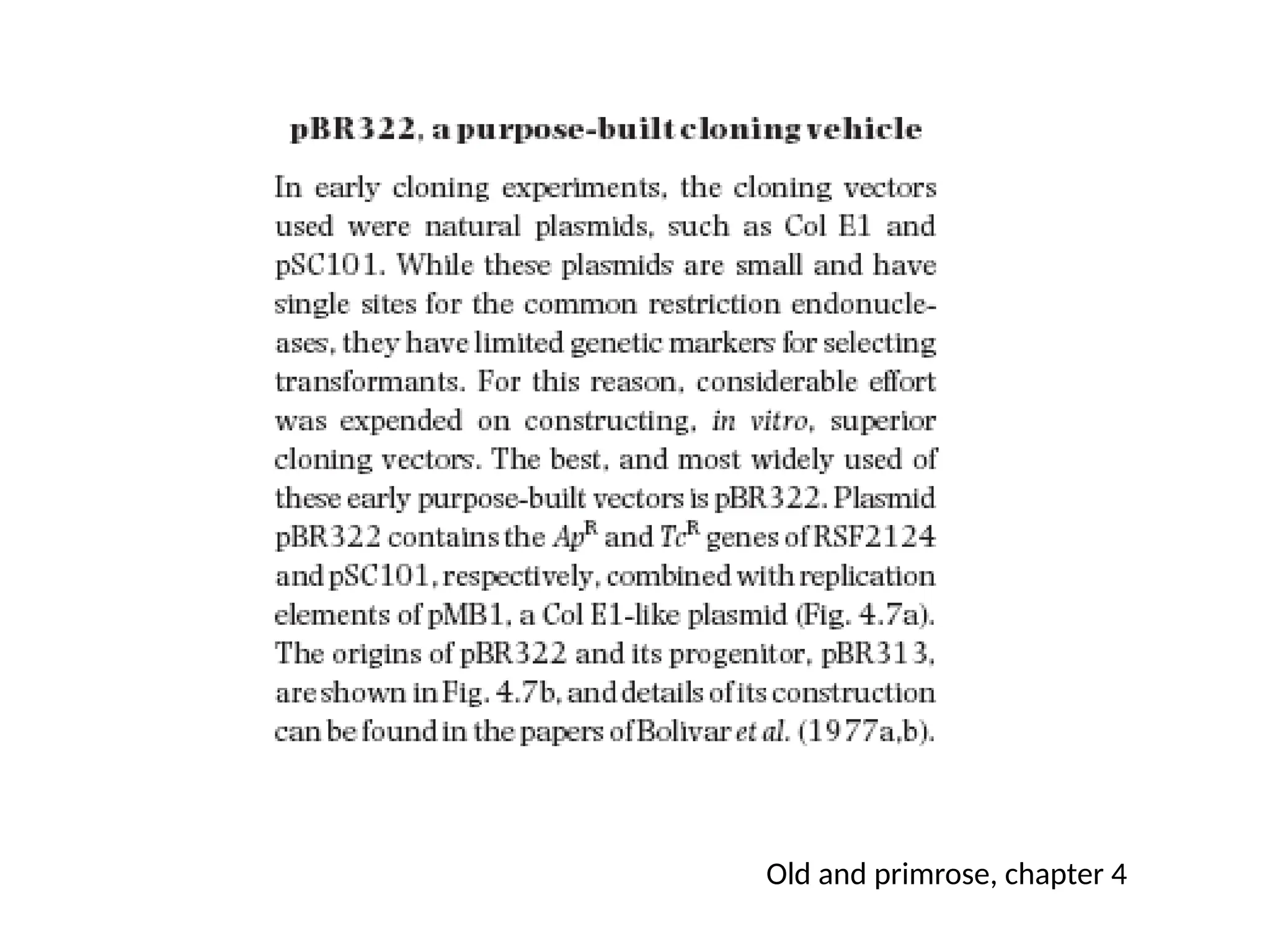 Old and primrose, chapter 4
 