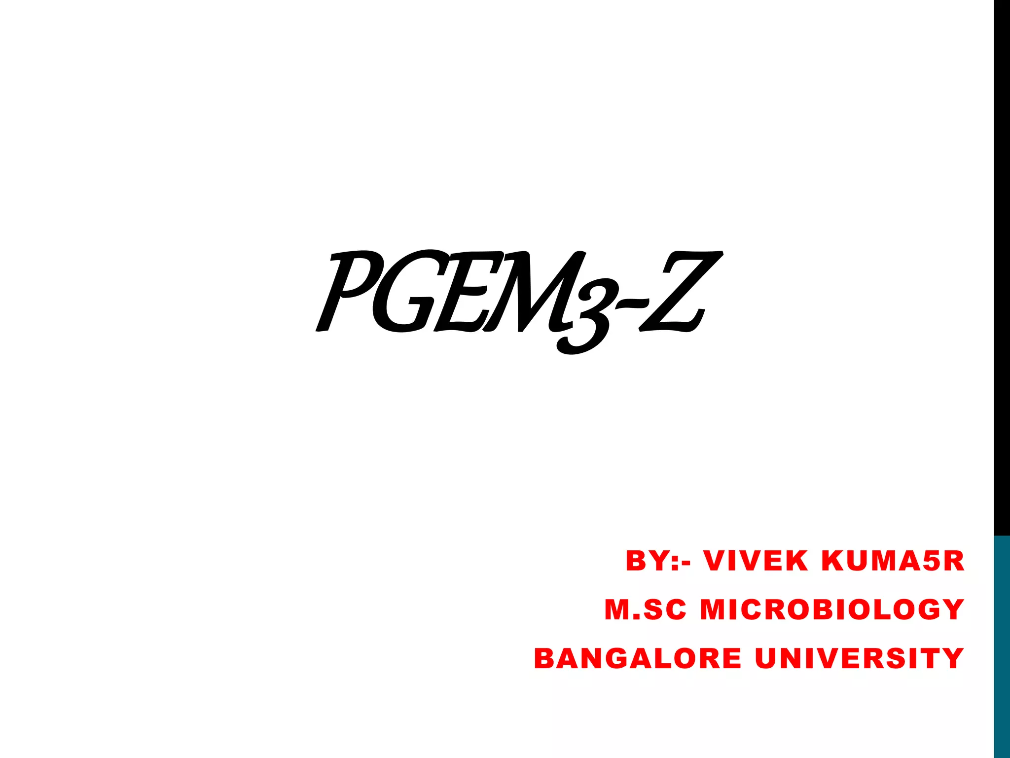 PGEM3-Z
BY:- VIVEK KUMA5R
M.SC MICROBIOLOGY
BANGALORE UNIVERSITY