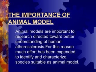 THE IMPORTANCE OF
ANIMAL MODEL
Animal models are important to
research directed toward better
understanding of human
atherosclerosis.For this reason
much effort has been expended
to identify and characterize
species suitable as animal model.
 