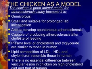 THE CHICKEN AS A MODEL
*The chicken is good animal model for
atherosclerosis study because it is:
 Omnivorous
 Small and suitable for prolonged lab
investigation
 Able to develop spontaneous atherosclerosis
 Capable of producing atherosclerosis after
cholesterol feeding
 Plasma level of cholesterol and triglyceride
are similar to those in human
 Lipid composition of LDL , HDL and
chylomicron resemble those in human
 There is no essential difference between
vascular lesion in chicken on high cholesterol
 