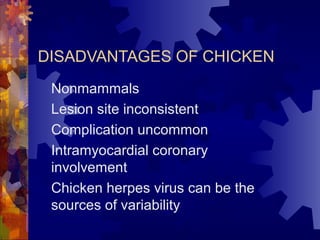 DISADVANTAGES OF CHICKEN
Nonmammals
Lesion site inconsistent
Complication uncommon
Intramyocardial coronary
involvement
Chicken herpes virus can be the
sources of variability
 