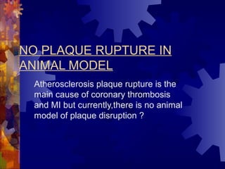 NO PLAQUE RUPTURE IN
ANIMAL MODEL
Atherosclerosis plaque rupture is the
main cause of coronary thrombosis
and MI but currently,there is no animal
model of plaque disruption ?
 
