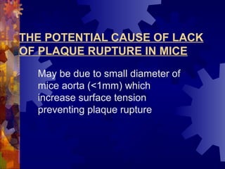 THE POTENTIAL CAUSE OF LACK
OF PLAQUE RUPTURE IN MICE
May be due to small diameter of
mice aorta (<1mm) which
increase surface tension
preventing plaque rupture
 