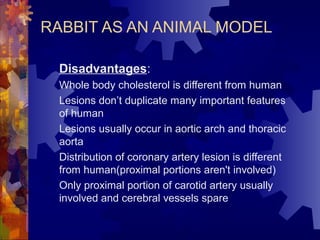 RABBIT AS AN ANIMAL MODEL
Disadvantages:
Whole body cholesterol is different from human
Lesions don’t duplicate many important features
of human
Lesions usually occur in aortic arch and thoracic
aorta
Distribution of coronary artery lesion is different
from human(proximal portions aren't involved)
Only proximal portion of carotid artery usually
involved and cerebral vessels spare
 