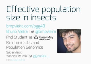 Effective population
size in insects
|
Phd Student @
Bioinformatics and
Population Genomics
Supervisor:
Yannick Wurm |
bmpvieira.com/pgg48
Bruno Vieira @bmpvieira
@yannick__
© 2014 Bruno Vieira CC-BY 4.0
 
