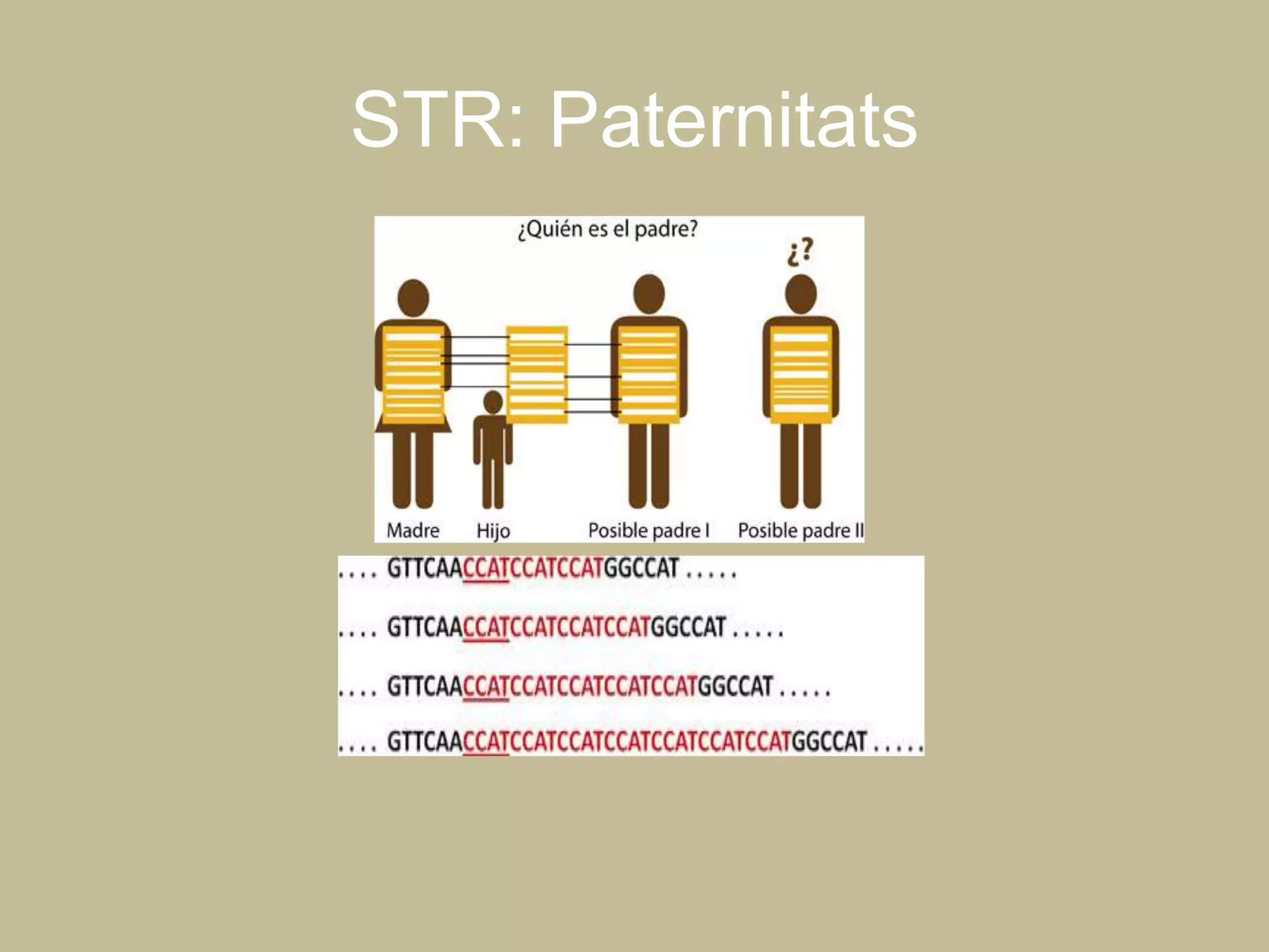 STR: Paternitats
 