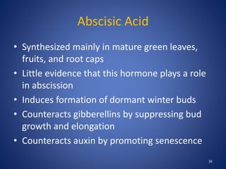 PLANT GROWTH HORMONE | PPT
