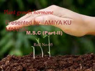 Plant growth hormone
Presented by –AMIYA KU
MANDAL
M.S.C (Part-II)
Roll No-05
 