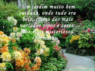 Um jardim muito bem
cuidado, onde tudo era
belo, flores dos mais
variados tipos e cores,
dos mais misteriosos
formatos.
 