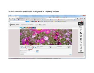 Se abre un cuadro y selecciono la imagen de mi carpeta y la alineo.
 