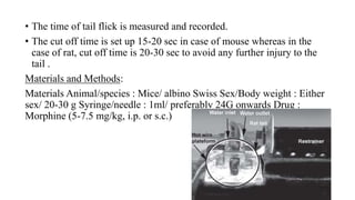 • The time of tail flick is measured and recorded.
• The cut off time is set up 15-20 sec in case of mouse whereas in the
case of rat, cut off time is 20-30 sec to avoid any further injury to the
tail .
Materials and Methods:
Materials Animal/species : Mice/ albino Swiss Sex/Body weight : Either
sex/ 20-30 g Syringe/needle : 1ml/ preferably 24G onwards Drug :
Morphine (5-7.5 mg/kg, i.p. or s.c.)
 