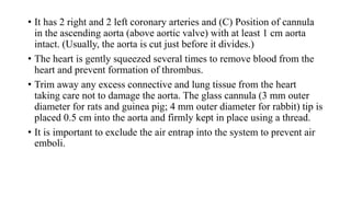 • It has 2 right and 2 left coronary arteries and (C) Position of cannula
in the ascending aorta (above aortic valve) with at least 1 cm aorta
intact. (Usually, the aorta is cut just before it divides.)
• The heart is gently squeezed several times to remove blood from the
heart and prevent formation of thrombus.
• Trim away any excess connective and lung tissue from the heart
taking care not to damage the aorta. The glass cannula (3 mm outer
diameter for rats and guinea pig; 4 mm outer diameter for rabbit) tip is
placed 0.5 cm into the aorta and firmly kept in place using a thread.
• It is important to exclude the air entrap into the system to prevent air
emboli.
 