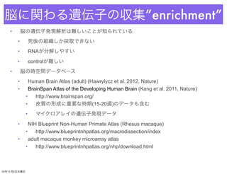 脳に関わる遺伝子の収集”enrichment” 
• 脳の遺伝子発現解析は難しいことが知られている 
• 死後の組織しか採取できない 
• RNAが分解しやすい 
• controlが難しい 
• 脳の時空間データベース 
• Human Brain Atlas (adult) (Hawrylycz et al. 2012, Nature) 
• BrainSpan Atlas of the Developing Human Brain (Kang et al. 2011, Nature) 
• http://www.brainspan.org/ 
• 皮質の形成に重要な時期(15-20週)のデータも含む 
• マイクロアレイの遺伝子発現データ 
• NIH Blueprint Non-Human Primate Atlas (Rhesus macaque) 
• http://www.blueprintnhpatlas.org/macrodissection/index 
• adult macaque monkey microarray atlas 
• http://www.blueprintnhpatlas.org/nhp/download.html 
14年11月5日水曜日 
 