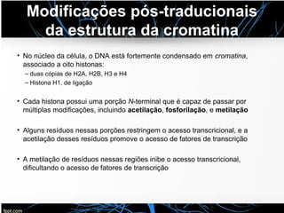 Modificações pós-traducionais
da estrutura da cromatina
• No núcleo da célula, o DNA está fortemente condensado em cromatina,
associado a oito histonas:
– duas cópias de H2A, H2B, H3 e H4
– Histona H1, de ligação
• Cada histona possui uma porção N-terminal que é capaz de passar por
múltiplas modificações, incluindo acetilação, fosforilação, e metilação
• Alguns resíduos nessas porções restringem o acesso transcricional, e a
acetilação desses resíduos promove o acesso de fatores de transcrição
• A metilação de resíduos nessas regiões inibe o acesso transcricional,
dificultando o acesso de fatores de transcrição
 