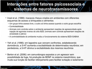 Interações entre fatores psicossociais e
sistemas de neurotransmissores
• Insel et al. (1988): macacos rhesus criados em ambientes com diferentes
esquemas de acesso a brinquedos e alimentos
– Um grupo tinha acesso livre, o outro só tinha acesso quando o outro grupo escolhia
– Controlabilidade
– Animais com controle sobre o ambiente apresentam reações de agressividade após
injeção de agonista inverso do sítio BZD; animais sem controle apresentam reações de
ansiedade e pânico
– A controlabilidade do ambiente mudou o funcionamento do sistema BZD-GABAA
• Yeh et al. (1996): em lagostins que vencem confrontos, estabelecendo
dominância, a 5-HT aumenta a excitabilidade de determinados neurônios; em
perdedores, a 5-HT diminui a excitabilidade dos mesmos neurônios
• Berton et al. (2006): em camundongos expostos a um agressor sem
possibilidade de fuga, há produção de BDNF no sistema mesolímbico, que
muda sua função de facilitar reforçamento para facilitar evitação e isolamento
 