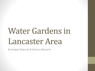 Water Gardens in
Lancaster Area
By Keegan Woyurka & Deanna Maurone
 