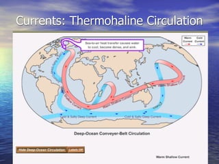 Currents: Thermohaline Circulation
 
