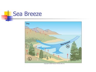 Sea Breeze
 